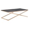 Orson Glass Coffee Table In Smoked Amber With Gold Finish Frame